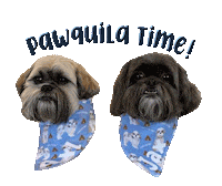 Dog Time Sticker