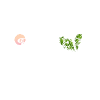 Texas Easter Sticker by Local Church
