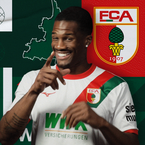 The Wolf Smile GIF by FC Augsburg 1907