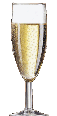 Congratulations Champagne Sticker