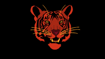 Tiger 2D Animation GIF by Micah Buzan