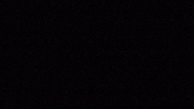 let anne-marie GIF by MAJOR LAZER