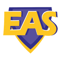 Gold Sticker by Inglés Americano EAS