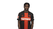 Bayer Leverkusen Sticker by Bundesliga