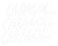 Snail Caracol Sticker