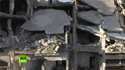 war news GIF