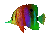 Haus Des Meeres Party Sticker by Haus des Meeres Aqua Terra Zoo