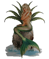 encantadora drink mexico drinks shot Sticker