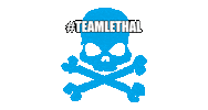 Lethal Performance Sticker by TeamLethal