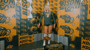 Ndsu Volleyball GIF by NDSU Athletics