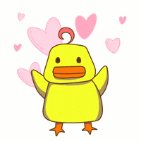 Cute Duck Wow GIF