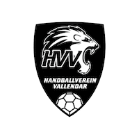 Handball Sticker by HVV
