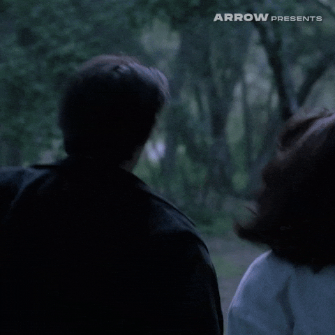 High School Film GIF by Arrow Video