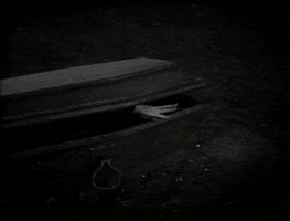 vampire gif GIF