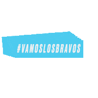 Futbol Sticker by San Marcos de Arica