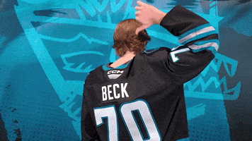 Check It Out San Jose GIF by San Jose Barracuda
