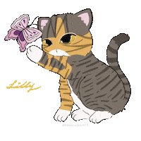 Catbutterfly Sticker