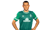 Maximilian Eggestein Thumbs Up Sticker by SV Werder Bremen