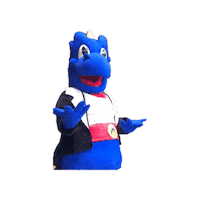 Soccer Mascot Sticker by rochesterlancers
