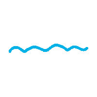 Write Ml Sticker by Schneider Pen Germany
