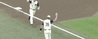 World Series Baseball GIF by NCAA Championships
