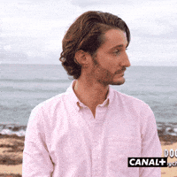 Fun What GIF by CANAL+