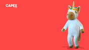 Rainbow Invest GIF by CAPEX.com