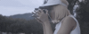colors GIF by Halsey
