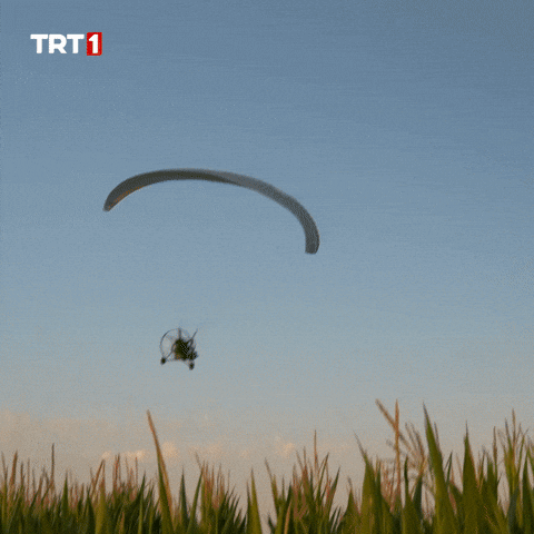 Happy See You GIF by TRT
