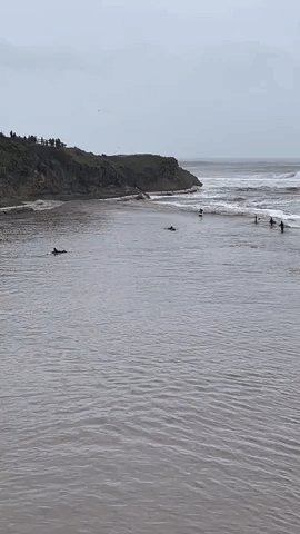 Surfers Ride Waves on San Lorenzo River as Storm Hits California's Central Coast