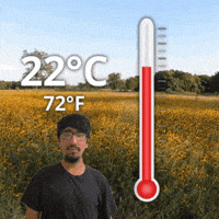 22 C GIF