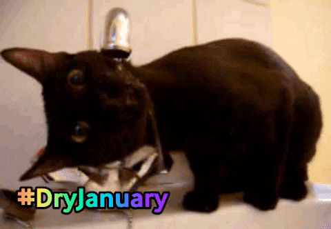 assoAIDES giphygifmaker water dry january GIF