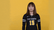 Cal State La Ncaa GIF by Cal State LA Golden Eagles