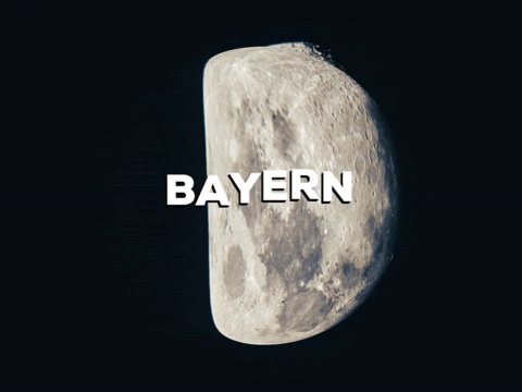 Laugh Smile GIF by PrivatschulenPORTAL.de