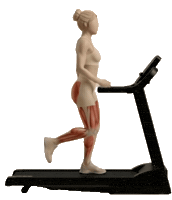 Fitness Workout Sticker by Formelle