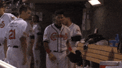 Celebrate Minor League Baseball GIF by El Paso Chihuahuas