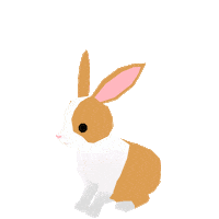 Rabbit うさぎ Sticker