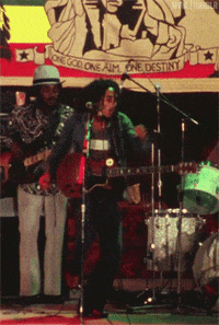 new york reggae GIF
