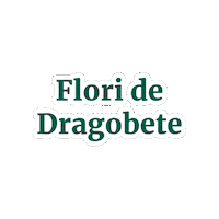 florariamagnolia dragobete flori de dragobete floraria magnolia floraria magnolia dragobete Sticker