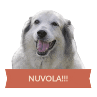 benedetta rossi dog Sticker