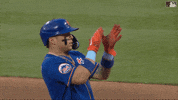 Ny Mets Baseball GIF by New York Mets