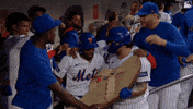 Celebrate Home Run GIF by New York Mets