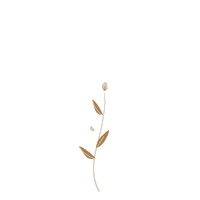 beauty flower Sticker by Aleksandra Konakova