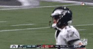 Philadelphia Eagles Football GIF by NFL