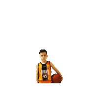 Iago Basket Sticker by pollerias velasco