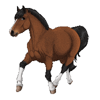 Horse Luxe Sticker