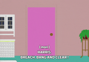 knock knock explanation GIF by South Park 