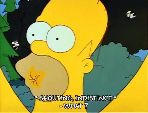 Season 1 GIF by The Simpsons
