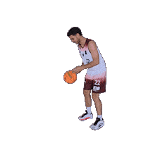 Basketball Winasone Sticker by Iserlohn Kangaroos