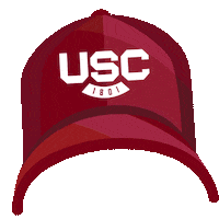 South Carolina Football Sticker by University of South Carolina